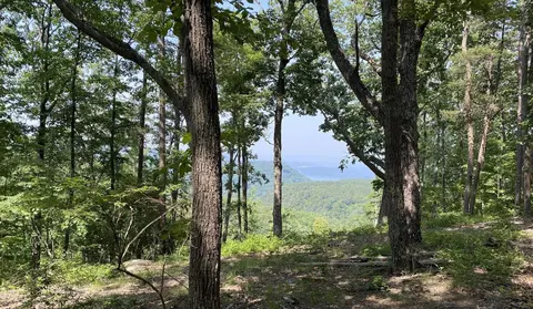 lot1179 Split Rail Way, Guild, TN 37340 photo 6