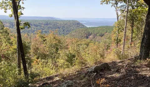 lot1179 Split Rail Way, Guild, TN 37340 photo 5