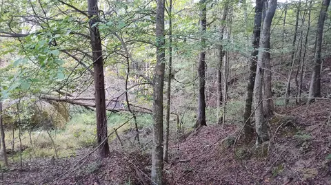 0 Summertown Rd #LOT 2, Jasper, TN 37347