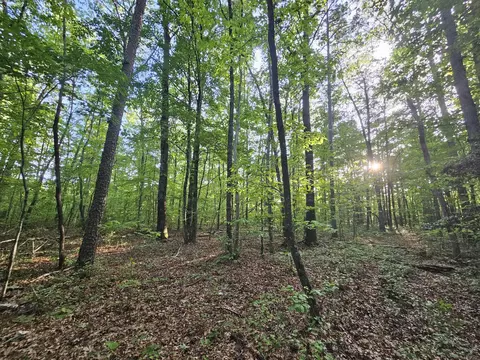 3 Savage Highland Dr #SW1E, Coalmont, TN 37313