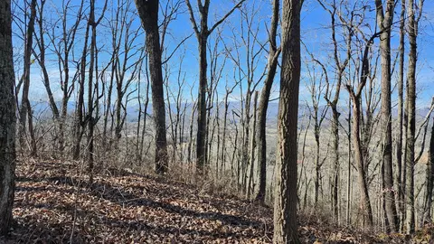 496 Hancock Rd, Jasper, TN 37347