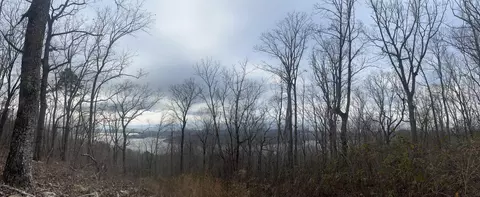 lot13 Bluffs North Rd #13, South Pittsburg, TN 37380