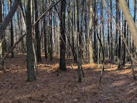 Lot 9 Hwy 11 #9, Valley Head, AL 35989