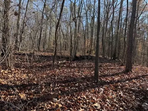 Lot 2 County Road 751 #2, Valley Head, AL 35989