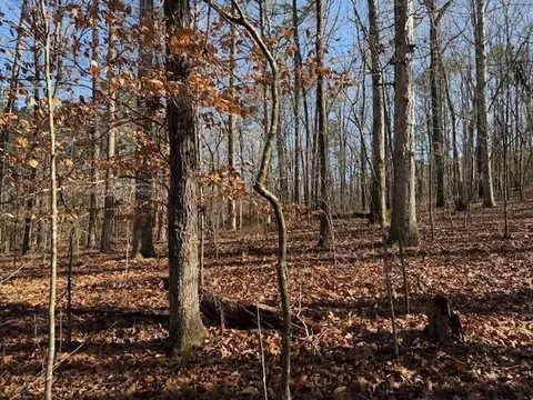 Lot 6 County Road 751 #6, Valley Head, AL 35989