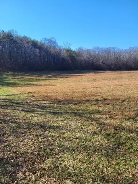 16633 Andy Thomas Rd, Sale Creek, TN 37373