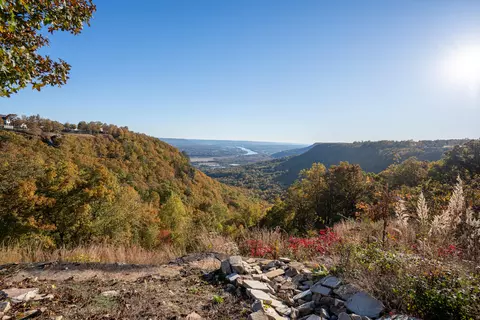 View/Area - 750 River Bluffs Dr, Jasper, TN 37347 photo 3 of 9