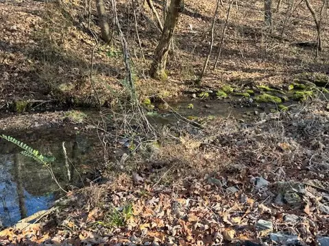 0 75 Acre Rauschenberg Rd, Dalton, GA 30721 photo 6