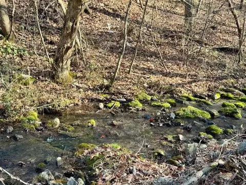 0 75 Acre Rauschenberg Rd, Dalton, GA 30721 photo 3