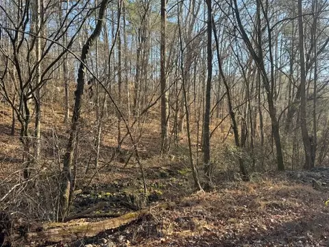 0 75 Acre Rauschenberg Rd, Dalton, GA 30721 photo 5