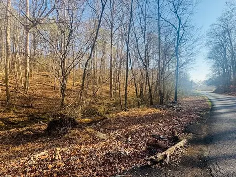 0 75 Acre Rauschenberg Rd, Dalton, GA 30721