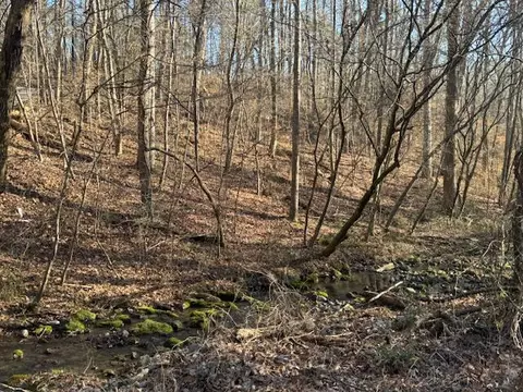 0 75 Acre Rauschenberg Rd, Dalton, GA 30721 photo 7