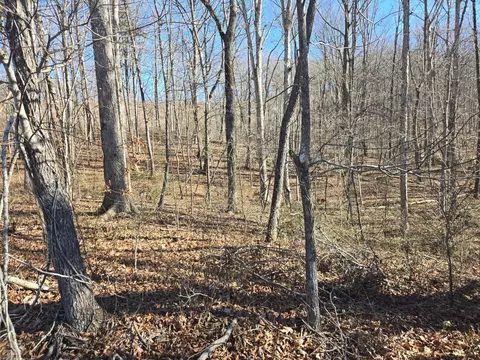 399 Sr Hwy, Palmer, TN 37365