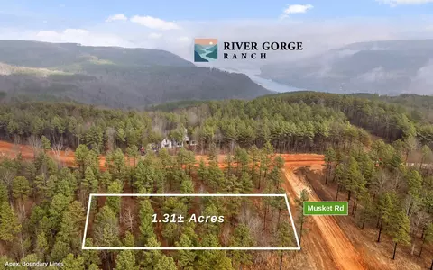 lot1326 Musket Rd, Guild, TN 37340