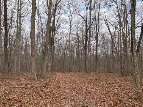 lot11 Green Frst, Dunlap, TN 37327