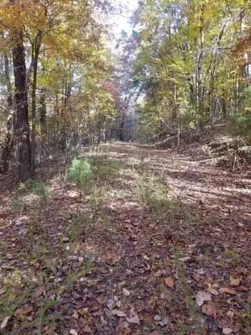 00 Tammy Trl, Spring City, TN 37381