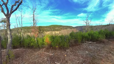 0 Big Soddy Dr #LOT 12, Soddy Daisy, TN 37379