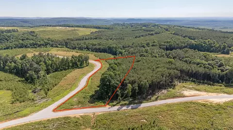 0 Saddleback Rd #48, Dunlap, TN 37327 photo 4