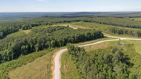 0 Saddleback Rd #48, Dunlap, TN 37327 photo 6
