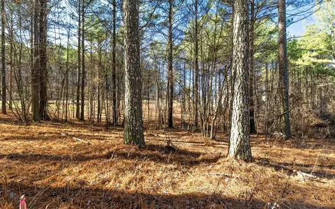 lot1125 Split Rail Way, Guild, TN 37340 photo 12
