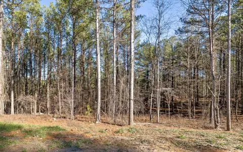lot1125 Split Rail Way, Guild, TN 37340 photo 10