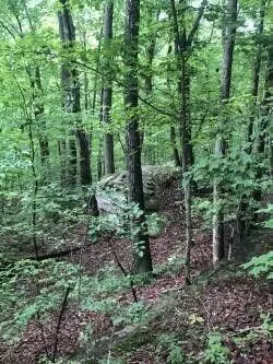 2818 Wilson Ave #N/8&9, Signal Mountain, TN 37377