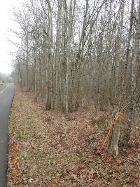 Other - 966 Cox Rd, Sequatchie, TN 37374 photo 2 of 4