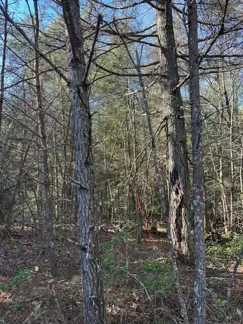Tract 5 50th Avenue #TRACT 5, Gruetli Laager, TN 37339