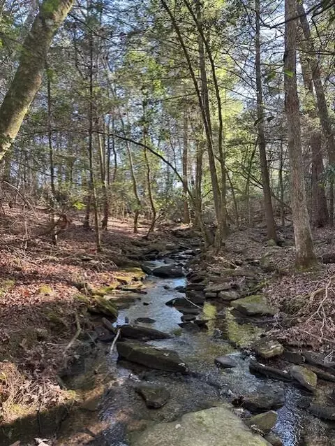 Tract 6 50th Avenue #TRACT 6, Gruetli Laager, TN 37339
