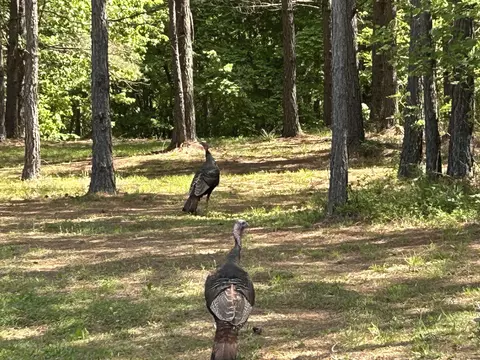 290 Bear Trace Dr #RB-201, Jasper, TN 37347