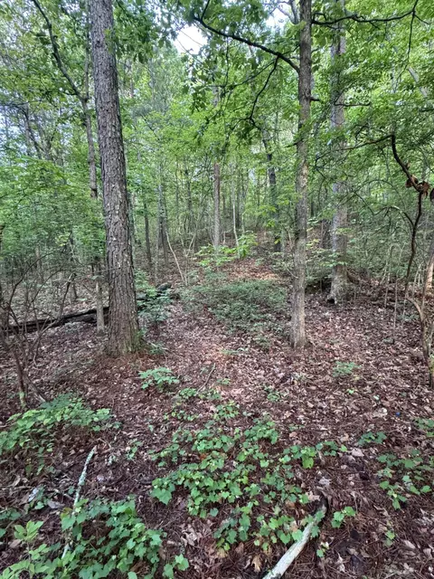 0 E Armuchee Rd, Lafayette, GA 30728 photo 20