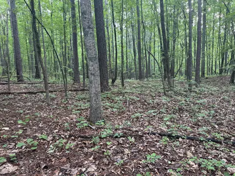 0 E Armuchee Rd, Lafayette, GA 30728 photo 22