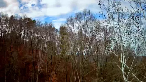 8813 Gann Rd #5, Soddy Daisy, TN 37379