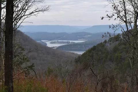 1075 Birds Eye Way #LOT 1075, Guild, TN 37340