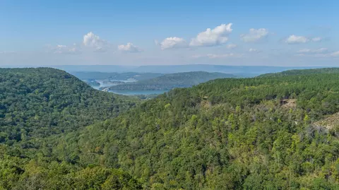 1075 Birds Eye Way #LOT 1075, Guild, TN 37340