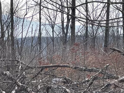00 Blue Berry Rd, Pikeville, TN 37367