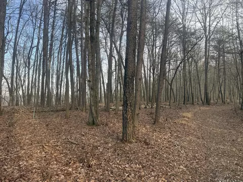 0 Shivas Crst #70B, Rising Fawn, GA 30738