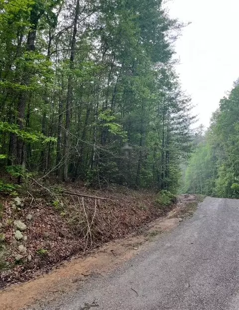 0 Possum Trot Rd, Grandview, TN 37337