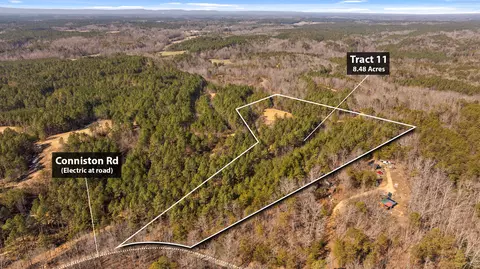 Tract 11 Conniston Road, Chatsworth, GA 30705