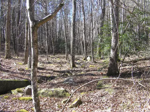 151 Indian Trails Dr # C, Spencer, TN 38585