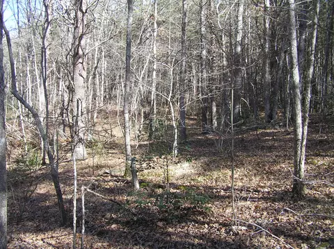 977 Dell Ln #78, Spencer, TN 38585