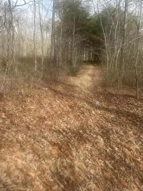 1 Snyder Loop, Graysville, TN 37338