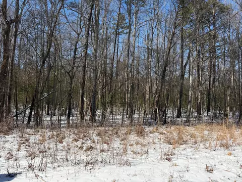 0 Ironsburg Rd, Tellico Plains, TN 37385