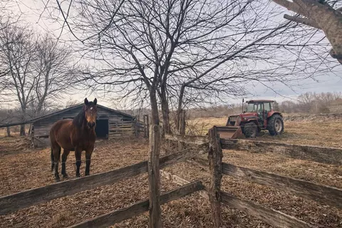 0 County Road 800, Flat Rock, AL 35966