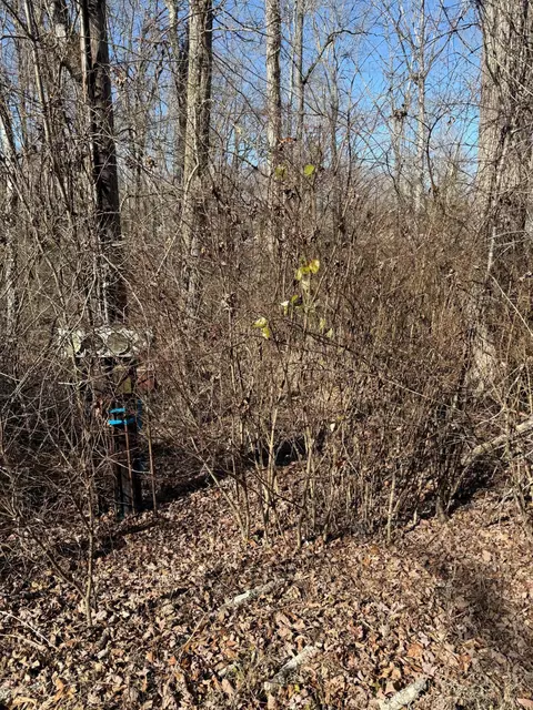 122 Hickory Hollow Rd, Crossville, TN 38572