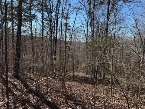 Tract 2 South Pittsburg Mtn Road #TRACT 2, South Pittsburg, TN 37380