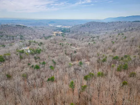 589 Abiding Way, Sale Creek, TN 37373