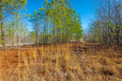 0 Cherokee Path #242, Jasper, TN 37347 photo 14
