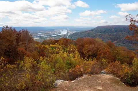 0 Cherokee Path #242, Jasper, TN 37347 photo 20