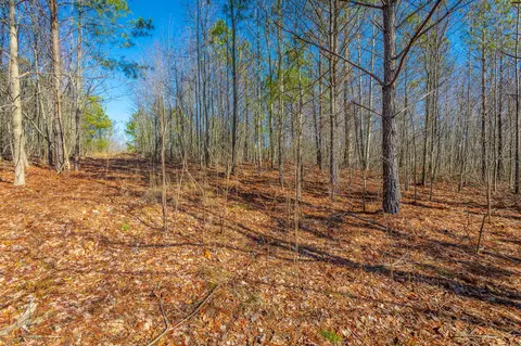 0 Cherokee Path #242, Jasper, TN 37347 photo 11